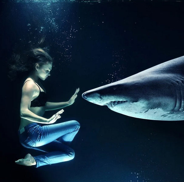 femme dans l'eau apaisée avec un requin.